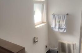 Apartament 1 camera la casa, 40 mp, zona Tatarasi 