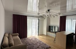 Apartament 1 camera tip sudio - Rond vechi - Selgros