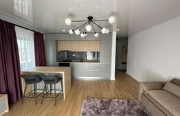 Apartament 1 camera tip sudio - Rond vechi - Selgros