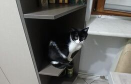 Apartament 4 camere, 80 mp, zona Nicolina 