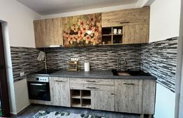 Apartament 2 camere decomandat, 60 mp, zona Valea Lupului  