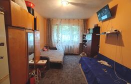 Camera camin, 20 mp, zona Bularga