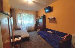 Camera camin, 20 mp, zona Bularga