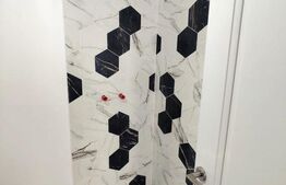 Casa deosebita, materiale premimum, 515 mp teren, Rediu