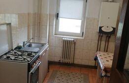 Apartament 2 camere de închiriat, 55 mp, zona Podul de Fier 