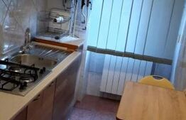 Apartament 1 camera - Gara - Bacinschi