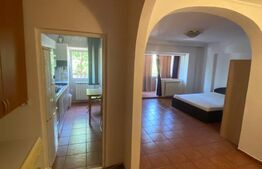 Apartament 1 camera - Gara - Bacinschi