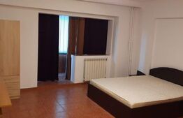 Apartament 1 camera - Gara - Bacinschi