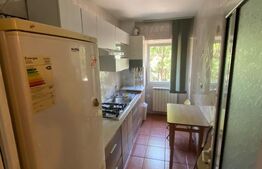 Apartament 1 camera - Gara - Bacinschi