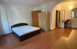 Apartament 1 camera - Gara - Bacinschi