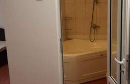 Apartament 1 camera - Gara - Bacinschi