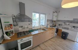 Casa de inchiriat - Lunca Cetatuii - Visoianu