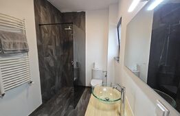 Casa moderna, 4 camere  Rediu, mobilata si utilata 