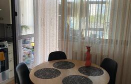 Apartament, 2 camere de închiriat - Campus Palas