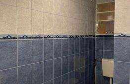 Apartament, 2 camere de închiriat - Campus Palas