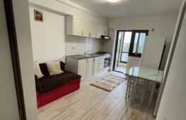 Apartament 1 camera, 40 mp, zona CUG 