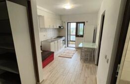 Apartament 1 camera, 40 mp, zona CUG 