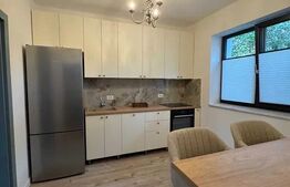 Casa de inchiriat, 56 mp, zona Central