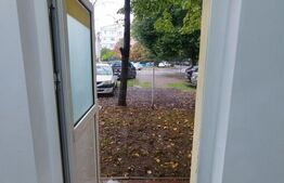 Spațiu comercial, 60 mp, zona Nicolina 2