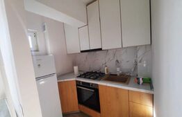 Garsoniera, 24 mp, zona Nicolina