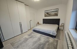 Vila de lux cu 5 camere in Galata, zona linistita 