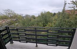 Vila de lux cu 5 camere in Galata, zona linistita 