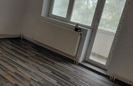 Apartament 2 camere, 50 mp, Podul de Piatra