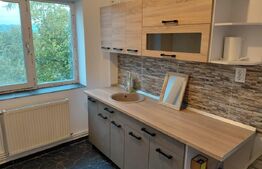 Apartament 2 camere, 50 mp, Podul de Piatra