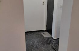 Apartament 2 camere, 50 mp, Podul de Piatra