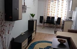 Apartament 2 camere, 55 mp, zona Pacurari