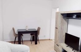 Apartament 2 camere, 40 mp, zona Podu Ros