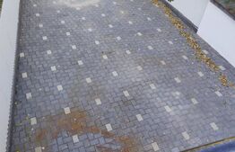 Casa 4 camere, 100 mp, zona Copou-Sararie 