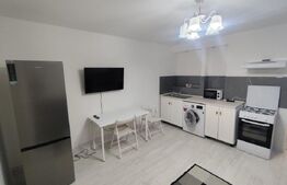 Casa 4 camere, 100 mp, zona Copou-Sararie 