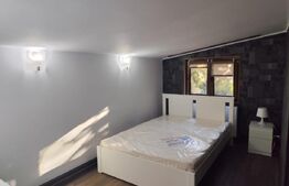 Casa 4 camere, 100 mp, zona Copou-Sararie 