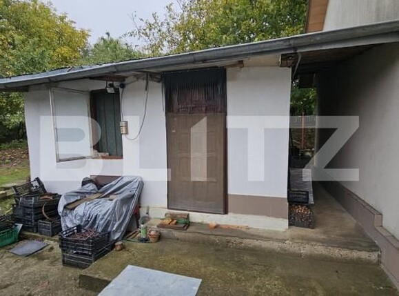 Casa de vânzare 3 camere Visan - 179510CV | BLITZ Iași | Poza10