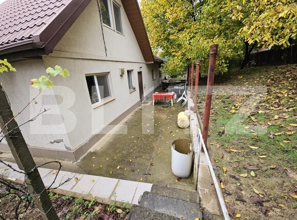 Casa de vânzare 3 camere Visan - 179510CV | BLITZ Iași | Poza9