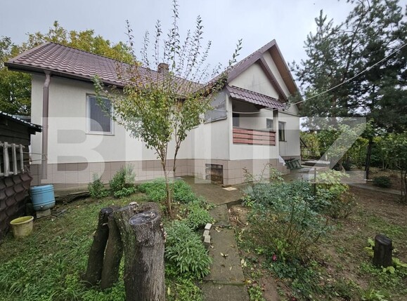 Casa de vânzare 3 camere Visani - 179510CV | BLITZ Iași | Poza1