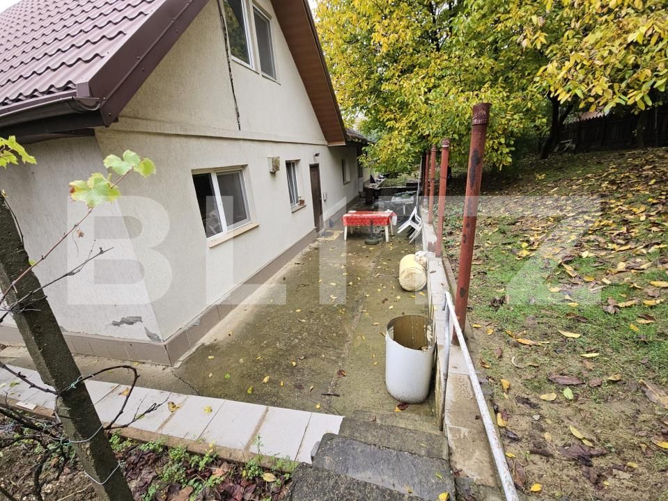Casa de vânzare 3 camere Visani - 179510CV | BLITZ Iași | Poza9