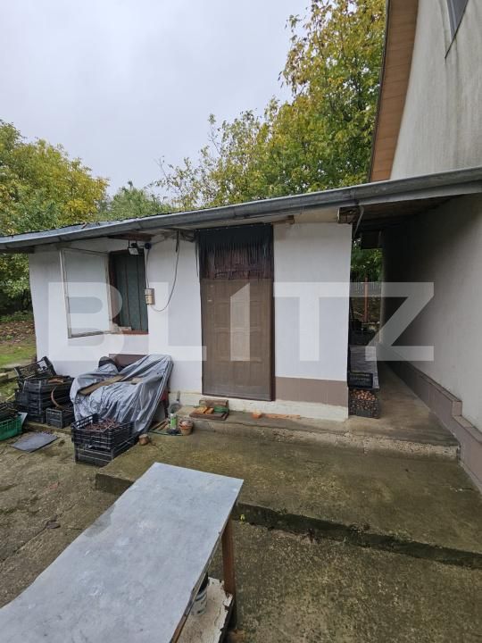 Casa de vânzare 3 camere Visan - 179510CV | BLITZ Iași | Poza10