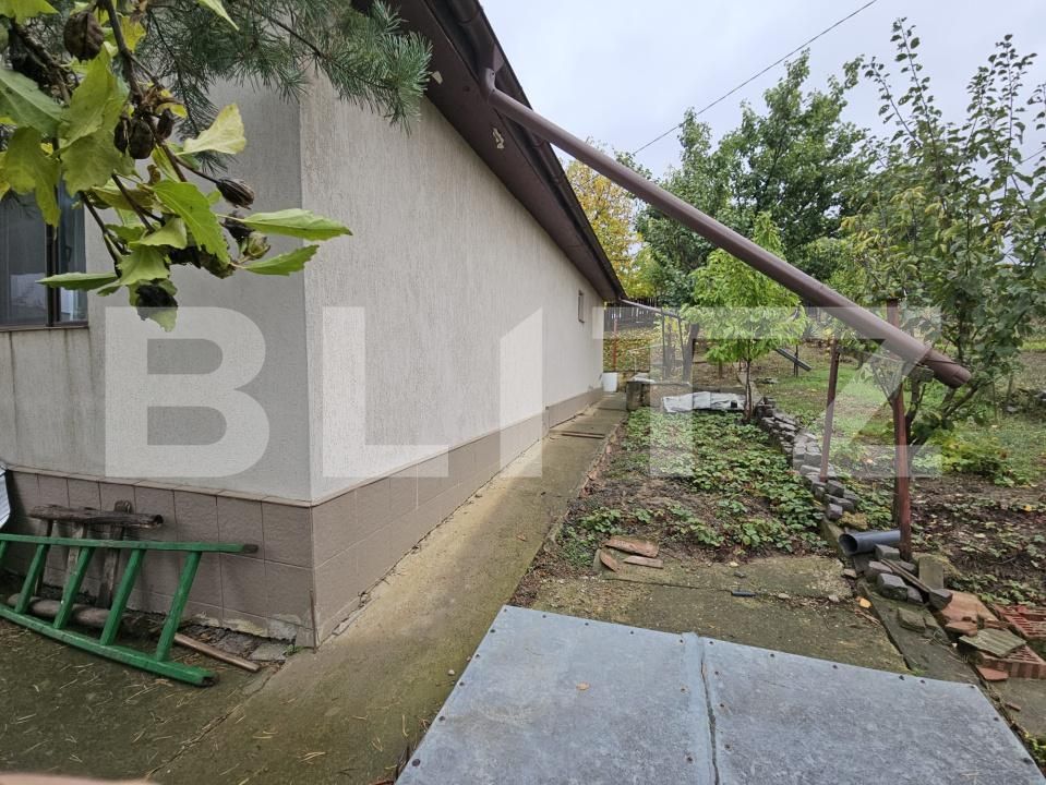 Casa de vânzare 3 camere Visani - 179510CV | BLITZ Iași | Poza8