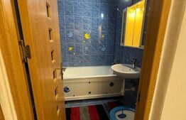 Inchiriere apartament 1 camera | DECOMANDAT | zona Tudor |