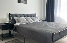 Apartament 2 camere, 54 mp, zona Pacurari 