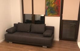 Apartament cu 1 camera, 40 mp, strada Aleea MIhail Sadoveanu