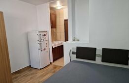 Garsonieră, 20 mp, zona Păcurari-Moara de Foc 