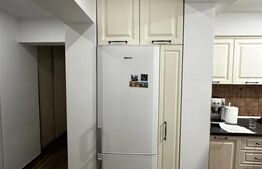 Apartament 2 camere, 55 mp, zona Frumoasa