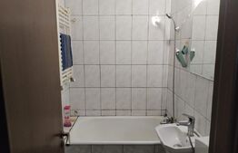 Garsoniera de închiriat, 24 mp, zona Tudor Vladimirescu