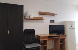 Garsoniera de închiriat, 24 mp, zona Tudor Vladimirescu