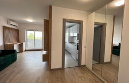 Apartament 1 cameră, 41mp, balcon, zona Tătărași Sud