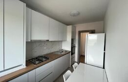 Apartament 1 cameră, 41mp, balcon, zona Tătărași Sud