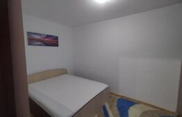 Apartament 3 camere Alexandru cel Bun